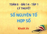 Số nguyên tố là gì? Hợp số là gì? cho ví dụ; Bảng số nguyên tố - Toán 6 bài 14 tập 1